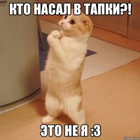 Кто насал в тапки?! Это не я :3