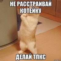 не расстраивай котейку делай тпкс