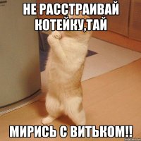 не расстраивай котейку,Тай мирись с Витьком!!