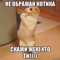 не ображай котика скажи жекі хто ти))))