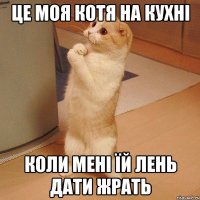 Це моя котя на кухні коли мені їй лень дати жрать