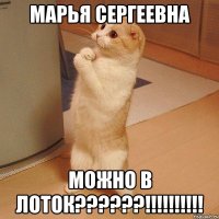 Марья Сергеевна можно в лоток??????!!!!!!!!!!