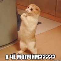  А ЧЁ МОЛЧИМ?????