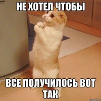 не хотел чтобы все получилось вот так