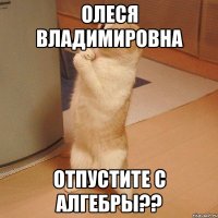 Олеся Владимировна Отпустите с алгебры??