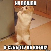 ну пошли в субботу на каток!