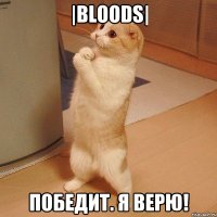 |BloODs| Победит. Я верю!