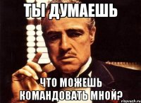 ты думаешь что можешь командовать мной?