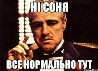 ні Соня все нормально тут