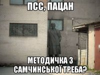 псс, пацан методичка з самчинської треба?