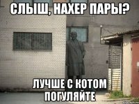 слыш, нахер пары? лучше с котом погуляйте