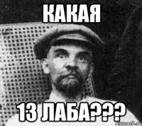 КАКАЯ 13 ЛАБА???