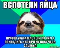 вспотели яйца провел указательным по ним и приподнёс к котячему носу чтоб заценил