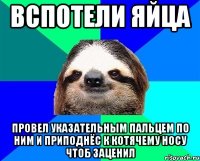 вспотели яйца провел указательным пальцем по ним и приподнёс к котячему носу чтоб заценил