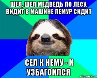 Шел, шел медведь по лесу. Видит в машине лемур сидит Сел к нему - и узбагоился