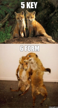 5 KEY 6 FORM