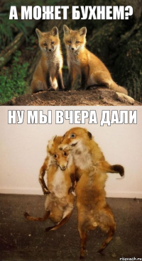 А может бухнем? Ну мы вчера дали