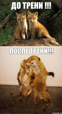 ДО ТРЕНИ !!! ПОСЛЕ ТРЕНИ!!!