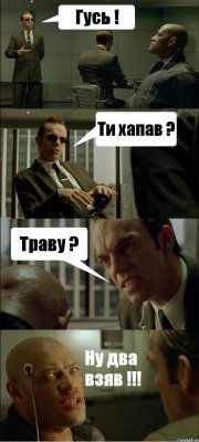 Гусь ! Ти хапав ? Траву ? Ну два взяв !!!