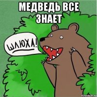 медведь все знает 