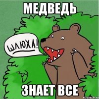 медведь знает все