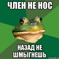 член не нос назад не шмыгнешь