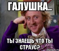 галушка.. ты знаешь что ты страус?