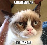 А НЕ АХУЕЛ ЛИ ТЫ ЧАСОМ?