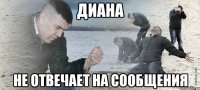 диана не отвечает на сообщения