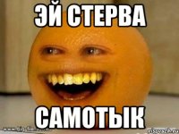 эй стерва самотык