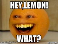 hey,lemon! what?