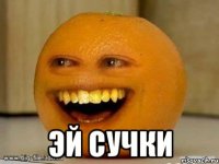  эй сучки