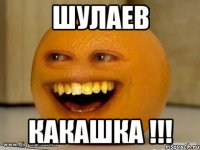 шулаев какашка !!!