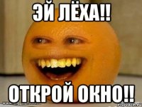 Эй Лёха!! Открой окно!!