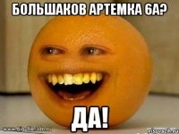 Большаков Артемка 6а? ДА!