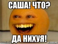 Саша! что? да нихуя!