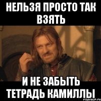 нельзя просто так взять и не забыть тетрадь камиллы