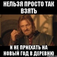 нельзя просто так взять и не приехать на новый год в деревню