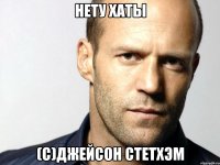 нету хаты (с)джейсон стетхэм