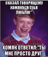 Сказал говорящему хомяку "Я тебя люблю" Хомяк ответил:"Ты мне просто друг"