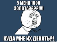 у меня 1000 золота???!!! куда мне их девать?!