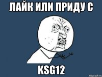 лайк или приду с ksg12