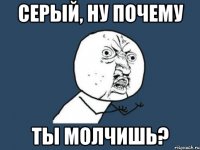 Серый, ну почему ты молчишь?