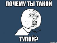 Почему ты такой ТУПОЙ?