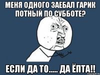 меня одного заебал гарик потный по субботе? если да то..... да ЁПТА!!