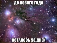 до нового года осталось 58 дней