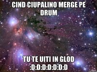 cind ciupalino merge pe drum tu te uiti in glod :d:d:d:d:d:d:d