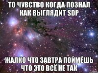 то чувство когда познал как выглядит sdp жалко что завтра поймёшь что это всё не так