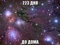 223 дня До дома