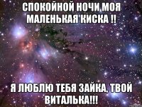 Спокойной ночи моя маленькая киска !! Я люблю тебя зайка, твой Виталька!!!